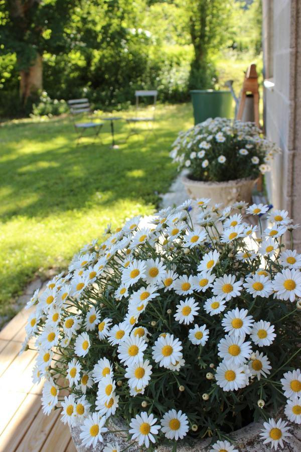 Bed and Breakfast Paclera79 Santa Maria Val Muestair Zewnętrze zdjęcie